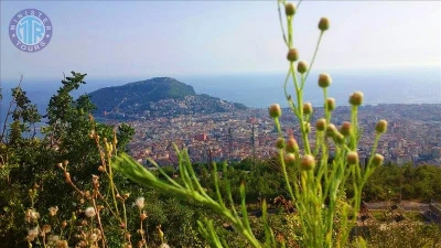Colakli til Alanya