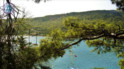 تور کشتی تفریحی در کادریه