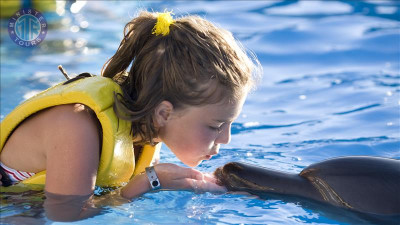 Svømme med delfiner Side