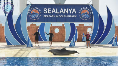 Alanya dolphin show from Kizilagac