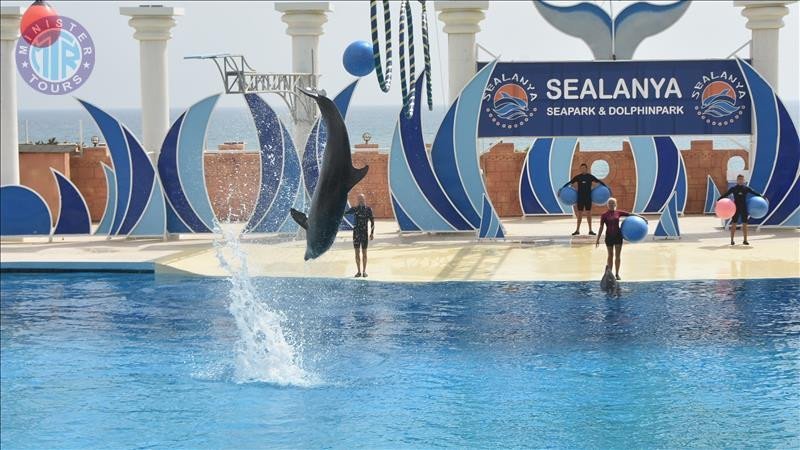 Delfinariumas Sealanya iš Kumkojaus1