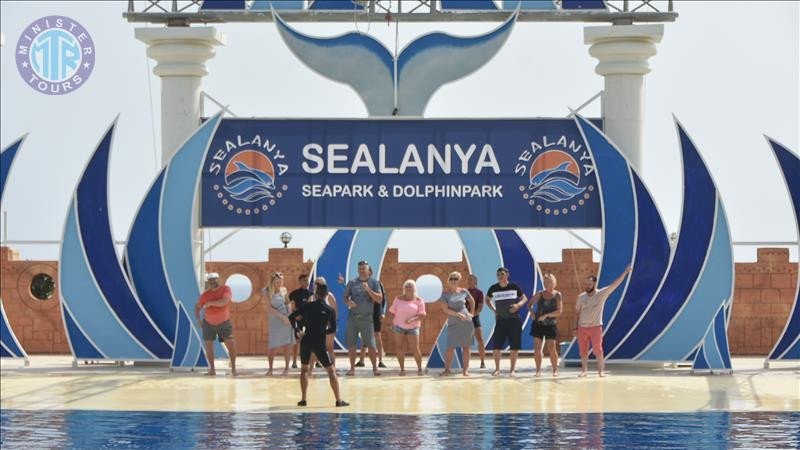 Delfinariumas Sealanya iš Kumkojaus9