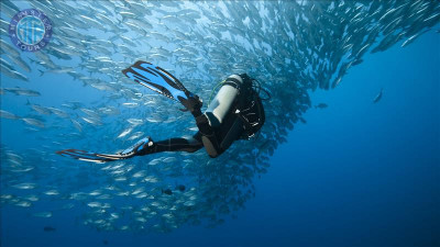 Belek diving