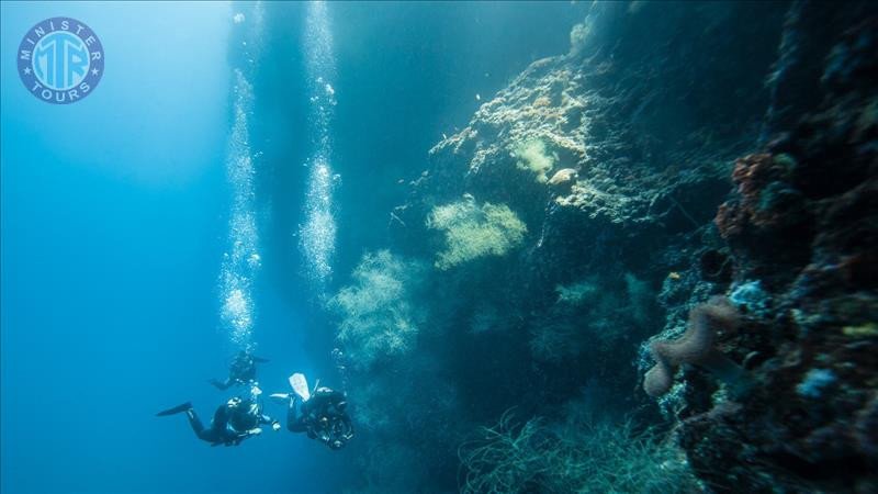 Diving in Belek2