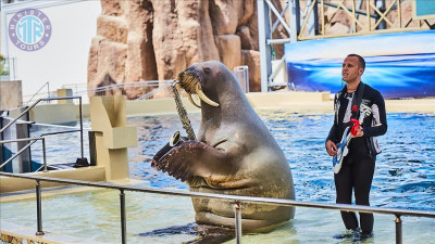 رحلة أرض الأساطير من سيريك