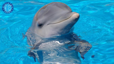 Dolfinarium Serik