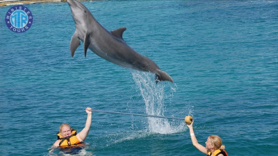 Dolphin show Belek