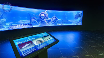 تور آکواریوم آنتالیا از بوغازکنت