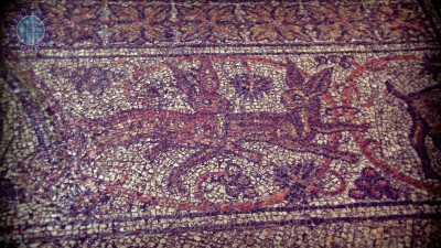 Trip to Israel from Kadriye Turkey