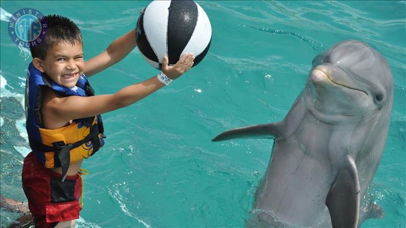Swim with Dolphins in Belek3