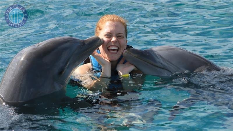 Swim with Dolphins in Belek5