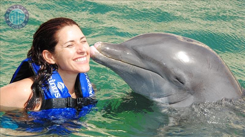 Swim with Dolphins in Belek7