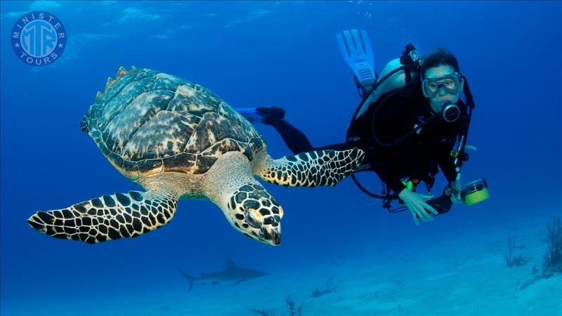 Diving in Kemer3