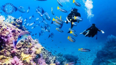 Kusadasi Diving