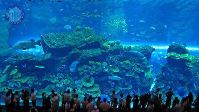 Istanbul Aquarium tour gif