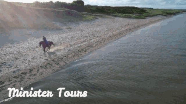 Horse riding in Bodrum gif