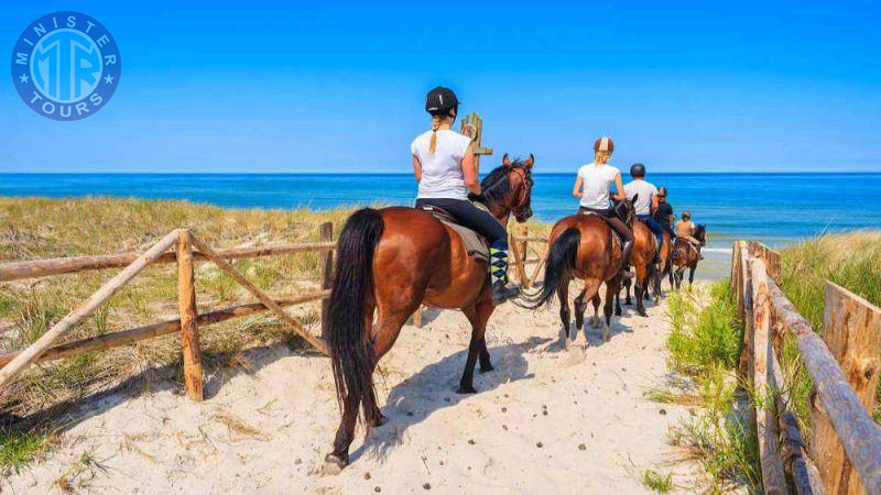 Horse riding in Bodrum1