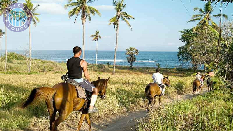 Horse riding in Bodrum2