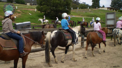 Reiten Fethiye gif