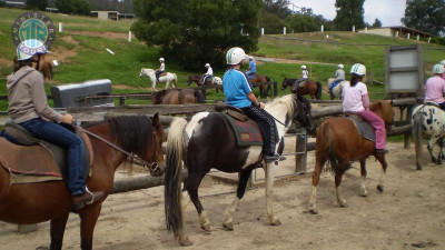 Horse riding Oludeniz gif