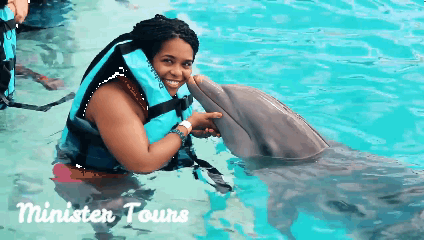 Swim with Dolphins in Bodrum gif