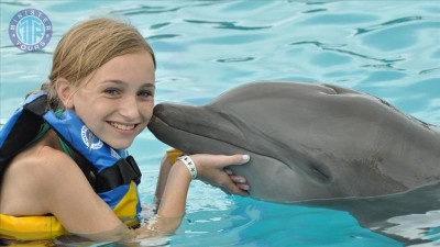 Svømme med delfiner Kemer