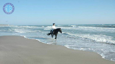 اسب سواری در کالکان