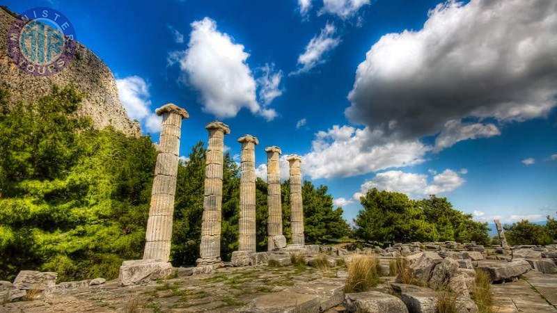 Ancient cities of Miletus and Priene from Didim5