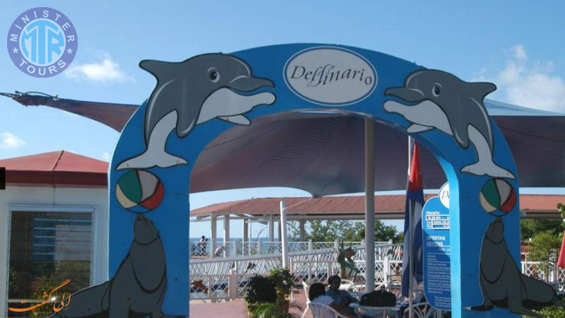 Dolphinarium in Kusadasi6