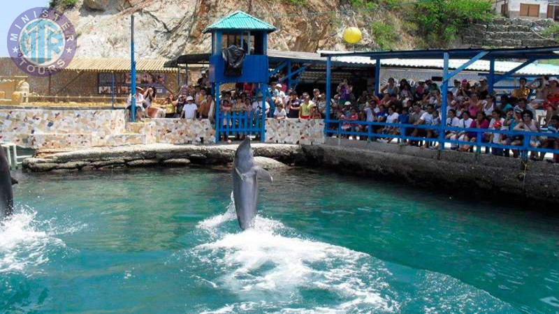 Dolphinarium in Kusadasi8