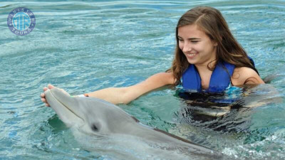 Nager avec les dauphins Kusadasi gif