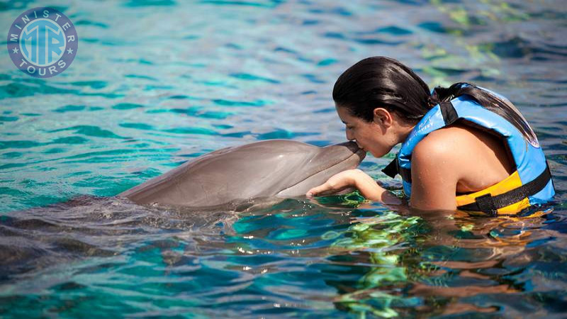 Swimming with dolphins in Kusadasi5