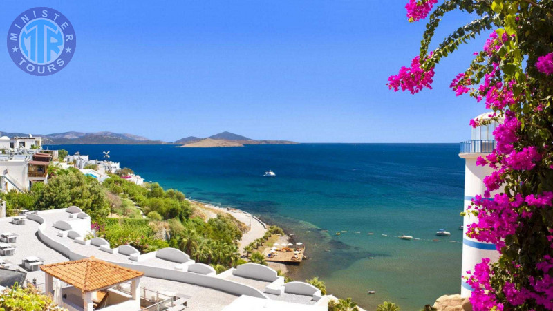 Bodrum from Kusadasi5