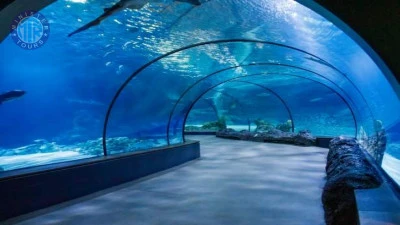 Aquarium à Mahmutlar