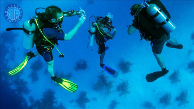 Antalya Diving gif