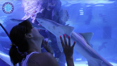 Antalya Aquarium tour gif