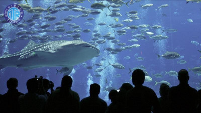 Antalya Aquarium tour