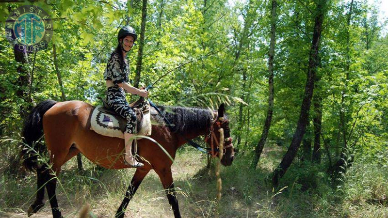 Прогулка на лошадях в Кадрие4
