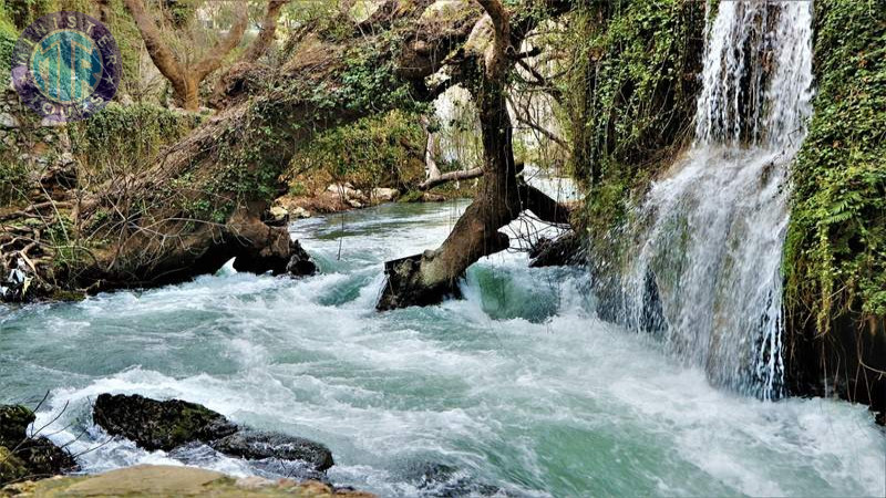 Lara beach waterfall tour7