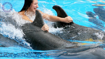 Lara Schwimmen mit Delfinen gif