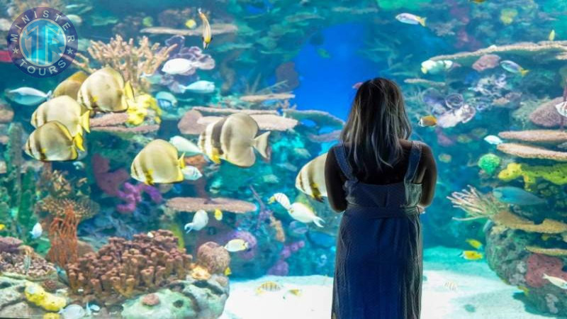 Izmir Aquarium tour2