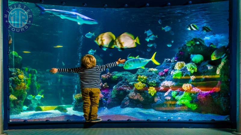 Izmir Aquarium tour3