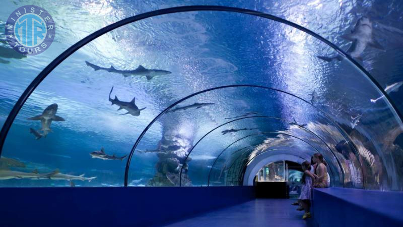 Izmir Aquarium tour8