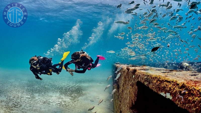 Izmir diving10