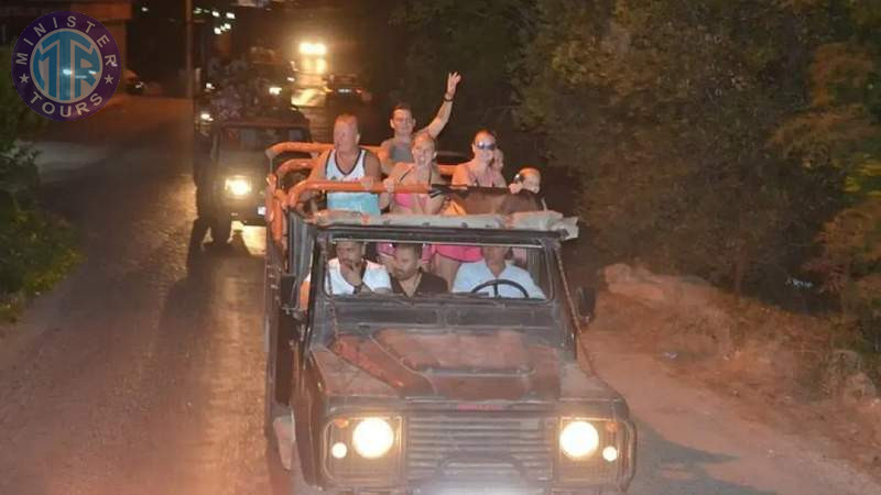 Slide 2 - Night safari