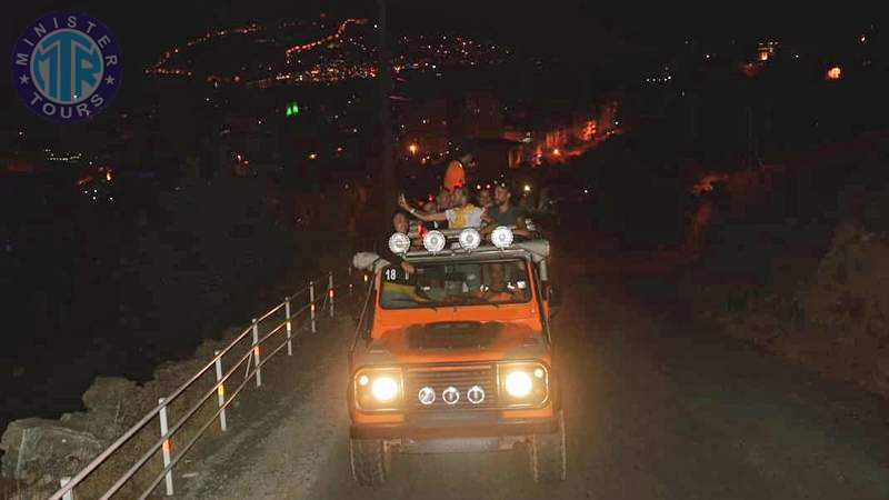 Slide 4 - Night safari