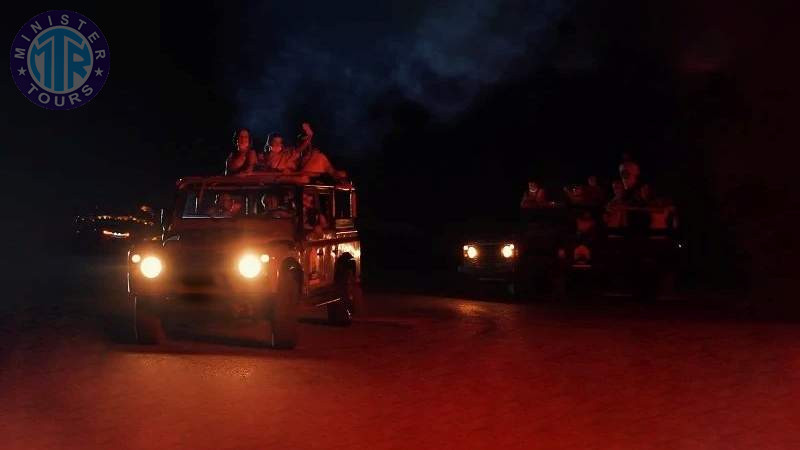 Slide 9 - Night safari