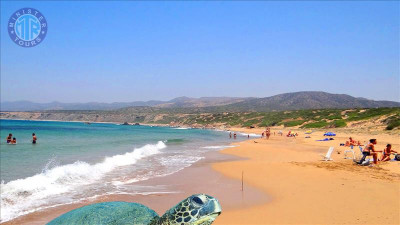 تور دالیان از تورونچ