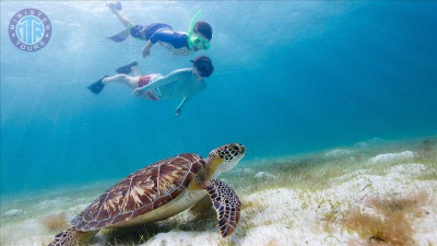Icmeler Snorkeling Tour