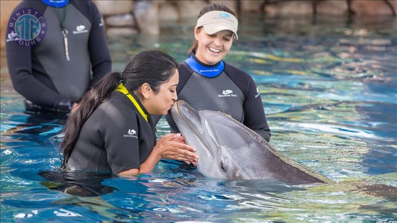 Swim With Dolphins Marmaris4